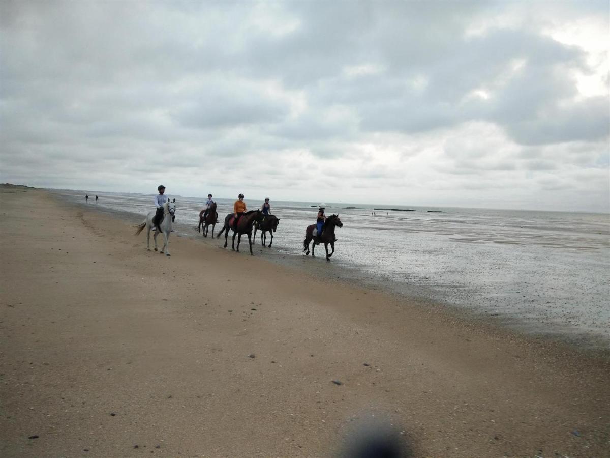 Decouverte D'Un Haras Proche Du Mont St Michel Hambye Exterior foto