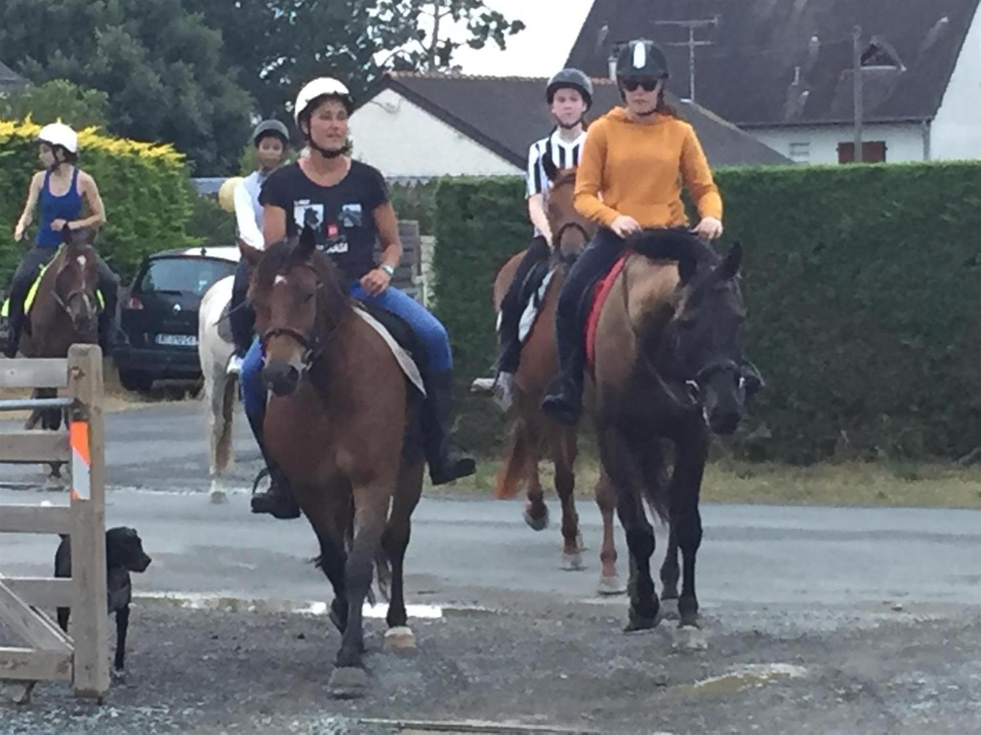 Decouverte D'Un Haras Proche Du Mont St Michel Hambye Exterior foto