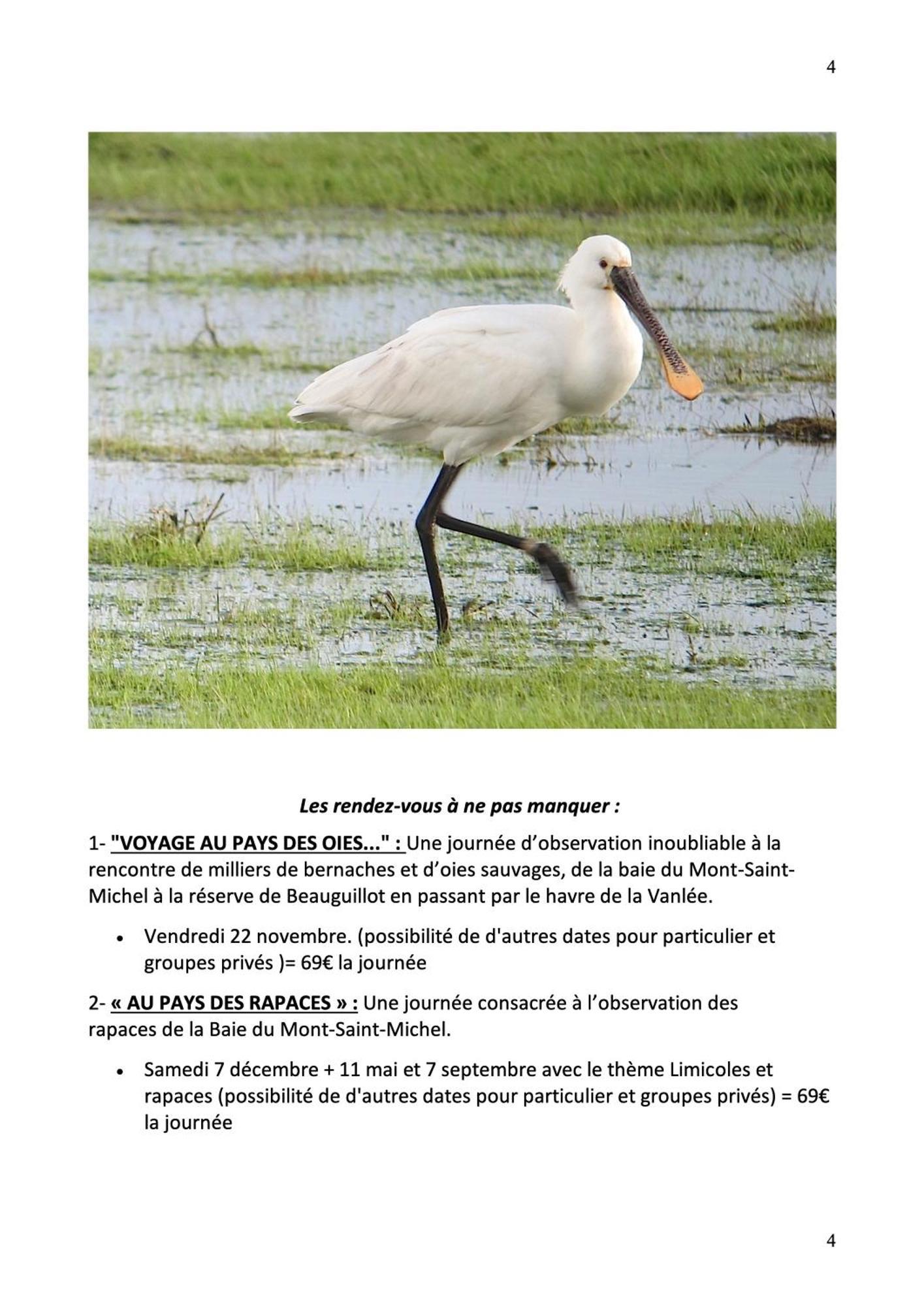 Decouverte D'Un Haras Proche Du Mont St Michel Hambye Exterior foto